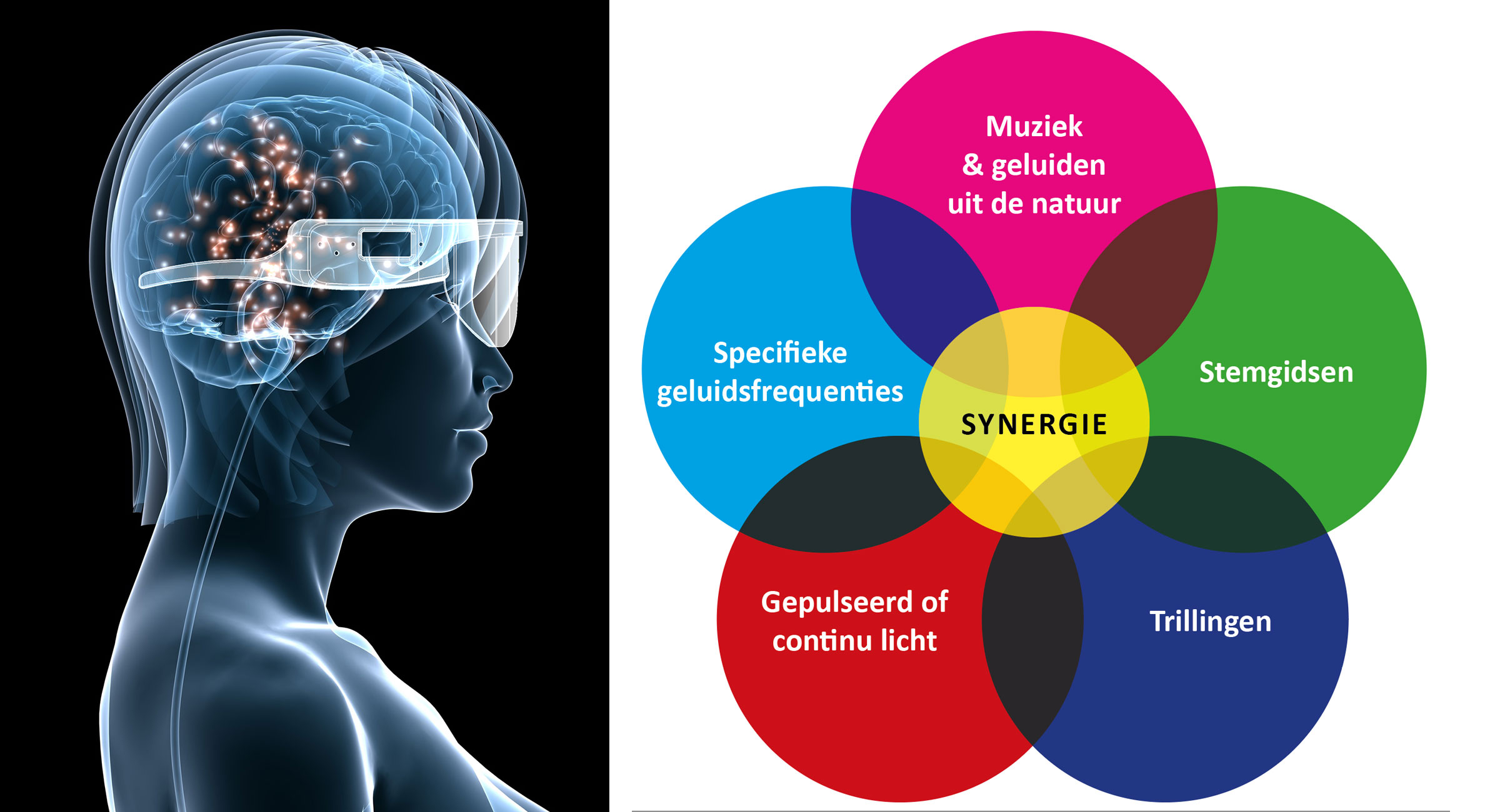 Synergie